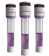 Wskaźnik biologiczny szybkiego odczytu po 20 min (para wodna) - MC.MS020